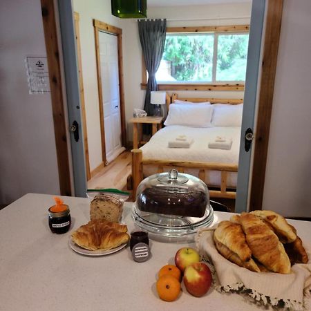 Grizzly Paw B&B Clearwater Exterior foto