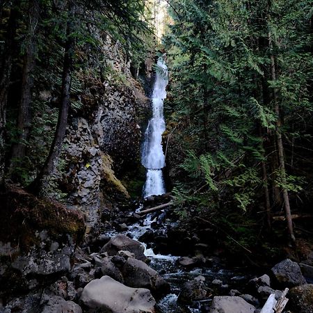 Grizzly Paw B&B Clearwater Exterior foto